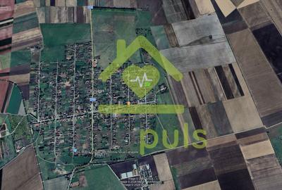 🗺️ Teren intravilan 1.043 mp în Bulgăruș  (≈ 14,4 EURO/mp)✨ - 3