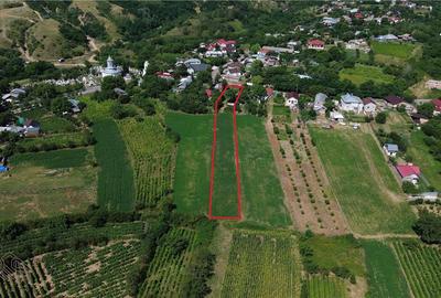 Teren intravilan 2.199 mp de vanzare | Sat Faraoanele | Str. Codrului | Deschide - 2