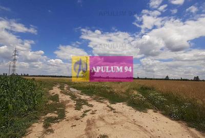 Teren 715mp în Snagov lângă Equestria - 45