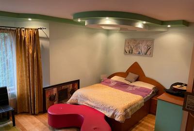 Casa D+P+2E, Banat- Stadion, teren 936mp, mobilata - 18