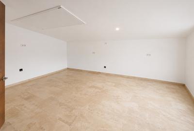Închiriere duplex nemobilat 150 mp vis-a-vis Parc Primărie/Fantasio - 14