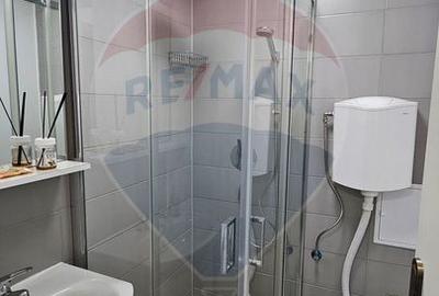 Apartament cu 1 camere de închiriat în zona 1 Mai - 3