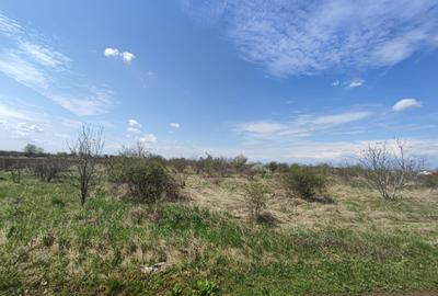 SUPER OFERTA - Teren intravilan Peris - 19240 mp lotizat - 5