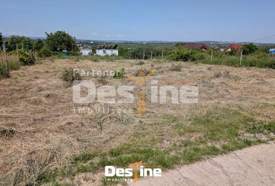 Bârnova - Teren Intravilan 974 Mp, utilitati, drum betonat - 9