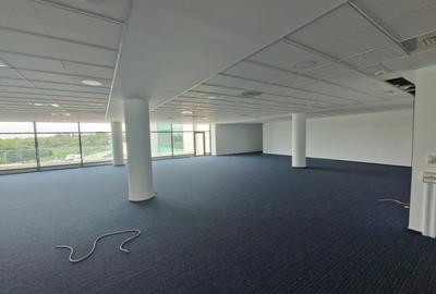 Willbrook Platinum Convention Center –spatiu retail de inchiriat in zona Baneasa - 8