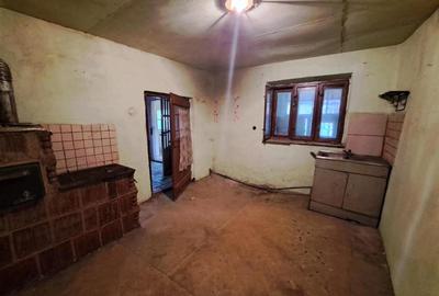 RECO  casa batraneasca Salard - 13