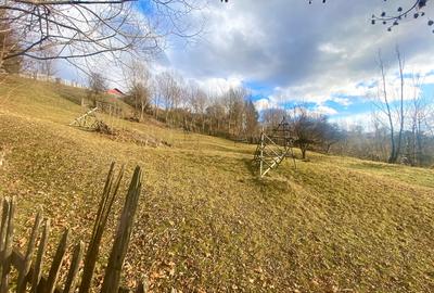 Teren in sat, cu fundație casa P+1, vedere largă, lângă rău - 7