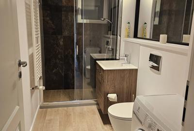 Apartament 3 camere mobilat , Zona Rond Alba Iulia - 4