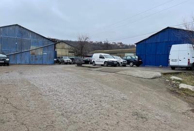 Vand teren cu hale 8.000 mp Sos. Bucium nr. 23 - 11