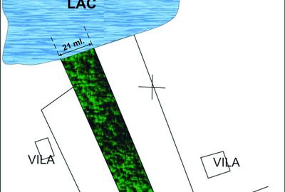 TEREN LA LAC - direct de la proprietar - 2700 mp - SAMURCAȘI- CREVEDIA - 1