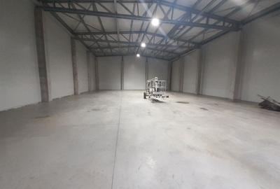 Hale, depozite de inchiriat in Afumati Ilfov, DN2, DNCB, A0, A3 - 1