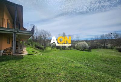 De vanzare casa 6 camere 8142 mp teren in Oarda de Sus - 37