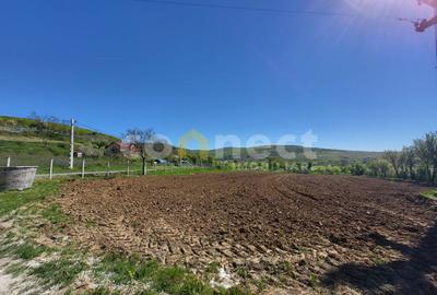 Teren intravilan de vânzare | 2942 mp | Ciurila, Cluj - 3