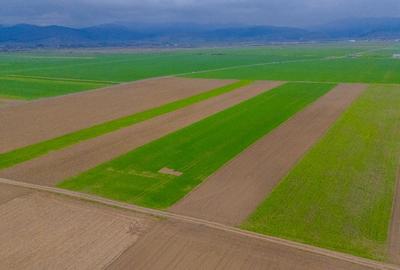 Comision 0%, teren extravilan Prejmer - 6