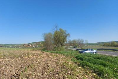 TEREN INTRAVILAN | 4300 MP | HIDISELUL DE SUS | BIHOR - 5