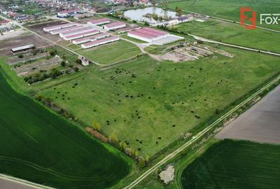 Teren intravilan cu suprafata de 58.340 mp, in Sanmartinul Sarbesc - 13