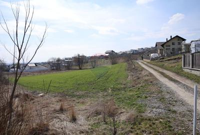 Teren 3,500mp Moara / Strada Pprincipala - 9