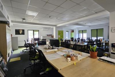 Cladire individuala - 20 locuri de parcare- Gradina Icoanei - 13