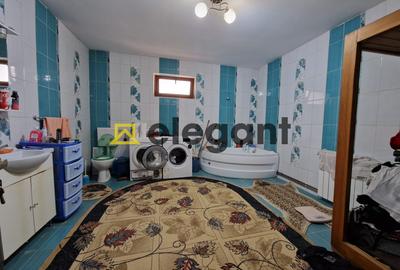 Casa, suprafata 168 mp, teren 600 mp, panouri, mobilata, Bariera Valcii - 11