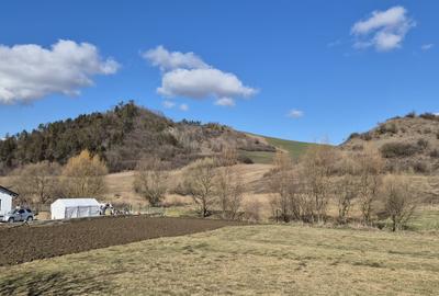 Teren Construcții extravilan de 10000 mp, în Nord-Est