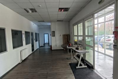 Hala 6400 mp - 12