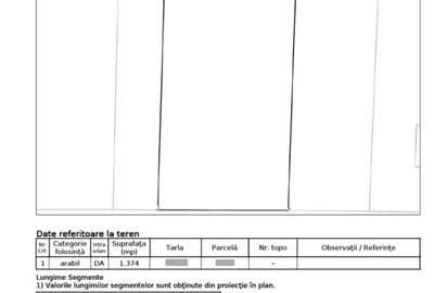 Comuna Islaz - teren 1374mp - canalizare - gaze - curent - asfalt - potential - 4