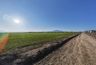 Inchiriem Apartament 2 Camere, Modern, Decomandat, Ghimbav - 17