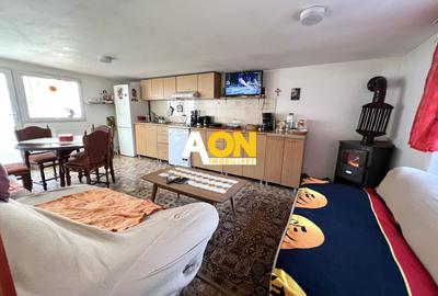 Casa de vanzare pretabila 2 familii, garaj, livada, comuna Pianu - 24