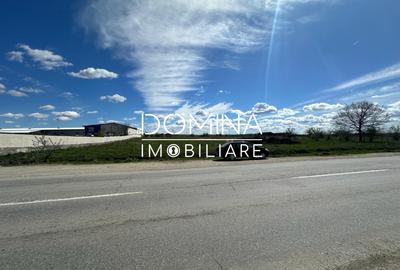 Vanzare teren intravilan 10.339 mp cu PUZ*dubla deschidere* - strada Narciselor - 7