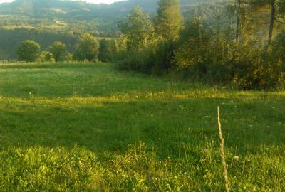 Teren intravilan 5360mp Bistrita Nasaud | Tiha Bargaului - 1