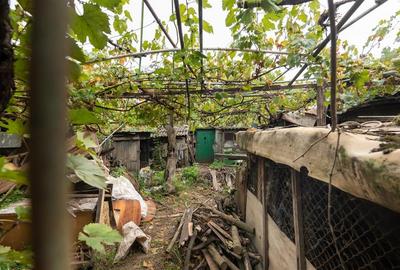 RECO  Casa in Episcopia Bihor cu teren de 704mp - 13