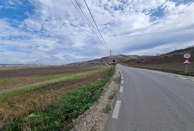Teren 1 Ha - Gaureni, Miroslava - Zona Mall Moldova - 1