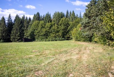 Teren intravilan 6800 mp, zona Lacuri Vulcan, Brașov - 5