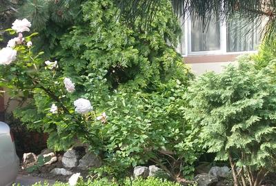 Izbiceni-Damaroaia-Casa Presei,P+E+M,zona verde,aerisita,casa luminoasa,6 camere - 9