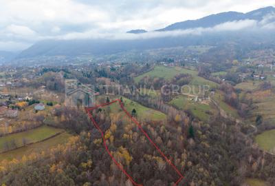 Teren intravilan, cu PUZ, Bran Tohanita,  SE ACCEPTĂ ȘI SCHIMB - 13