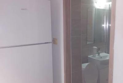 Apartament cu 2 camere in Tatarasi-Flora,la bulevard - 2