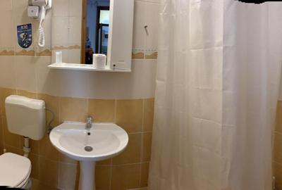Apartament 2 camere strada Castelului, etaj 1, 2 bai, mobilat, utilat! - 13