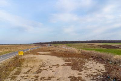 Teren intravilan la asfalt si statie autobuz Ilfov Cernica Posta - 13