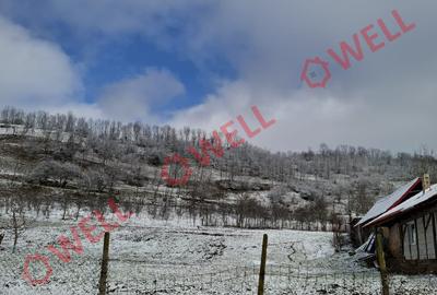 CASĂ FAMILIALĂ DE VÂNZARE SITUATĂ ÎN GOGANI - 3