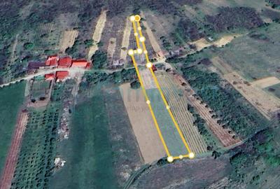 Teren agricol extravilan de 2000 mp, în Uileacu de Criș