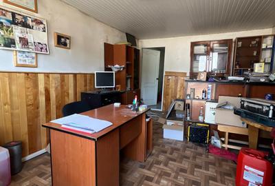 Fabrică de cherestea complet utilată & centru logistic - 5