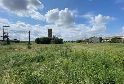 Teren intravilan Hirsova 16.862 mp - 1