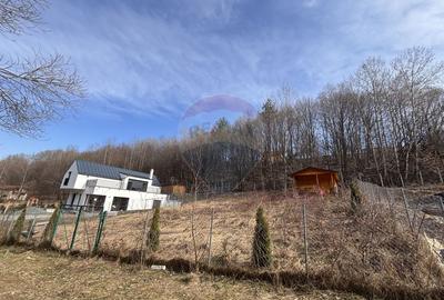 Teren intravilan de 591 mp, în Cisnădioara