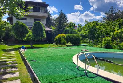 Dimineți pe ponton, seri la piscină – viața la Snagov. - 7
