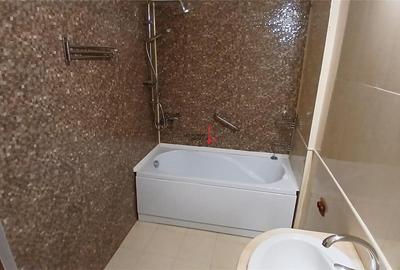 Oferta speciala 3 camere, etaj intermediar Vatra Luminoasa - 14
