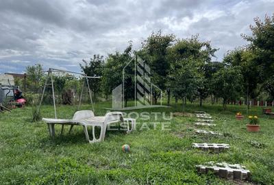 Casa individuala P+E cu teren generos de 856mp, in Sanandrei - 22