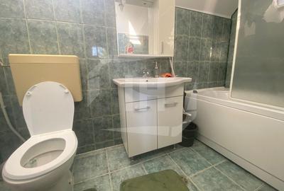 Casa Individuala, 170mp, 1000mp gradina, pet-friendly, Dambul Rotund - 10
