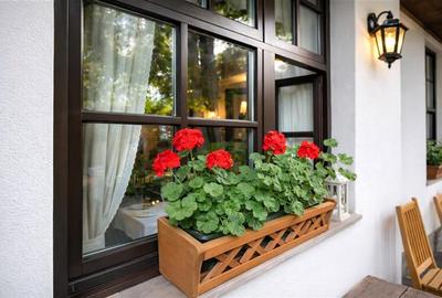 Complex Gastronomic:Afacere la cheie, Restaurant traditional secuiesc+terasa eve - 32