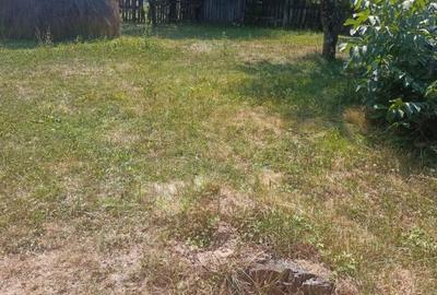 Teren Intravilan, situat in Sat Tismana (zona Gornovita) - 2