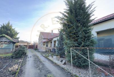 Casa 4 camere cu Teren 2.974 mp | Rezidenta sau afacere | Carei - 12